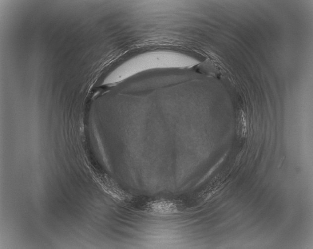 X0000052980500200508051044