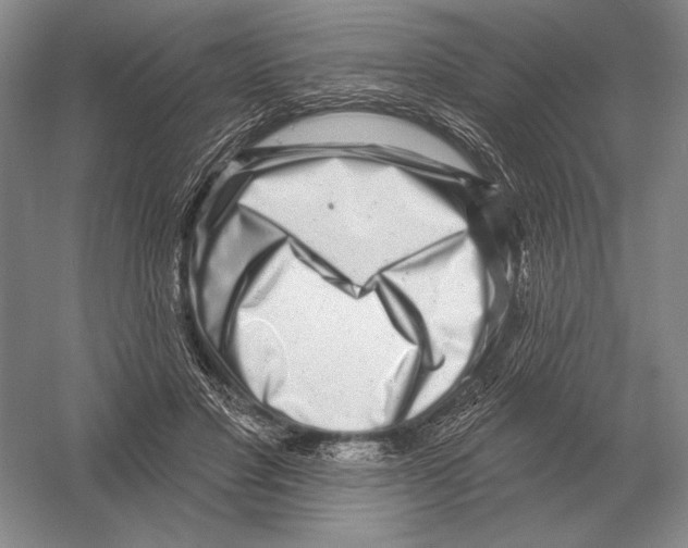 X0000052980501200508051044