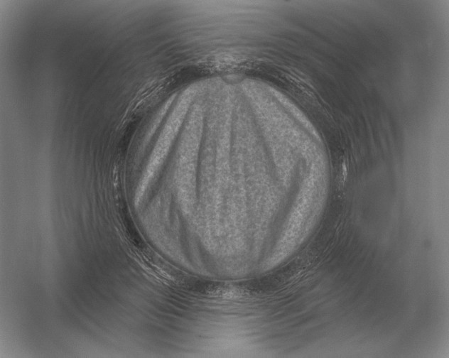 X0000052980503200508051044