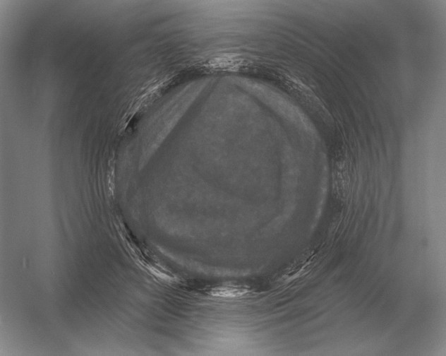 X0000052980504200508051044