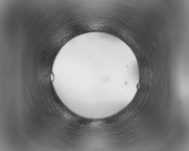 X0000052980505200508051044