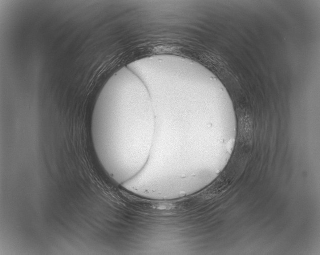 X0000052980506200508051044