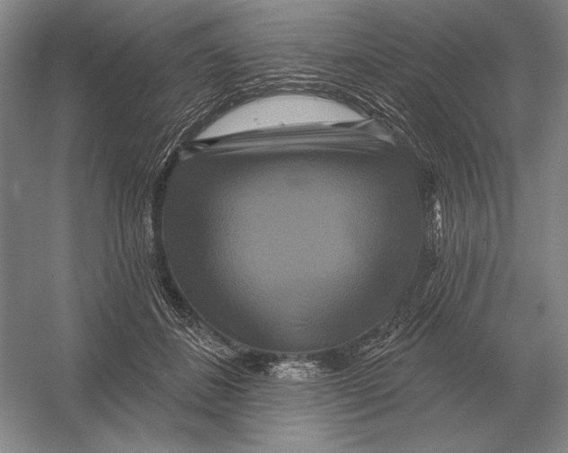 X0000052980508200508051044