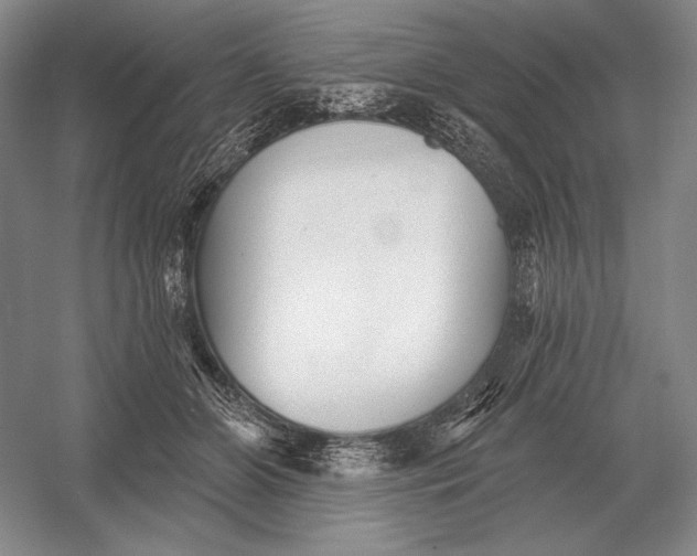 X0000052980510200508051044