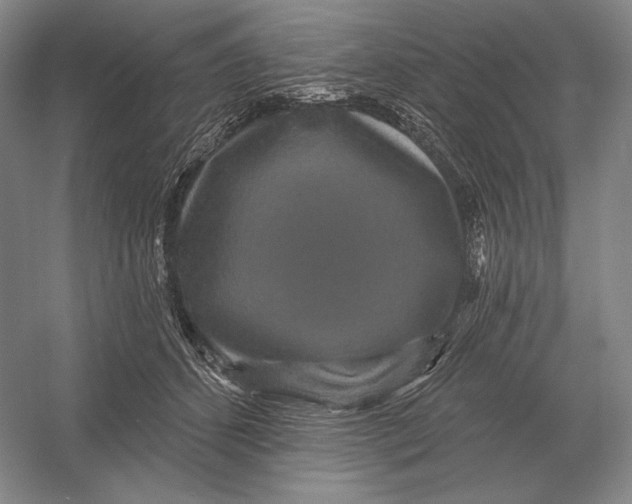 X0000052980512200508051044