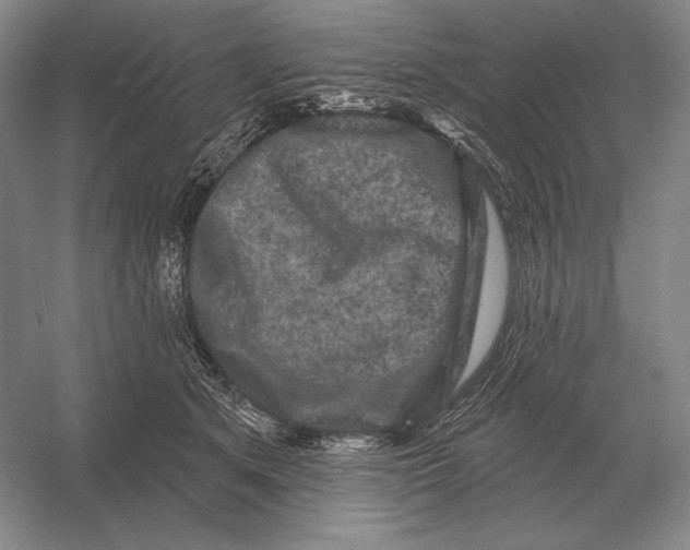 X0000052980513200508051044