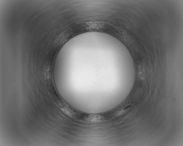 X0000052980514200508051044