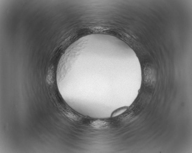 X0000052980515200508051044