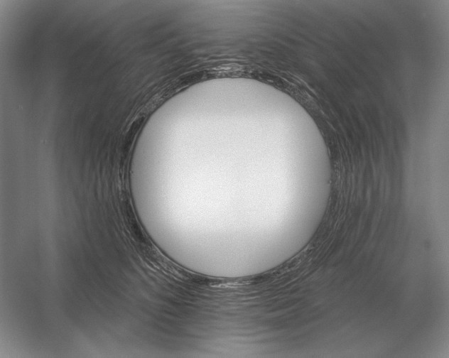 X0000052980516200508051044