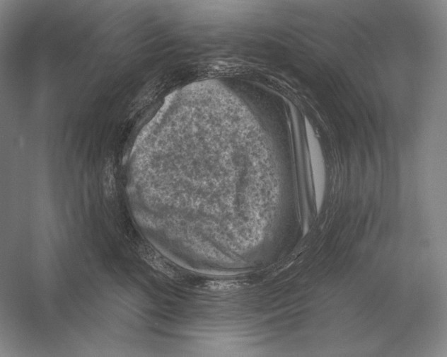 X0000052980520200508051044