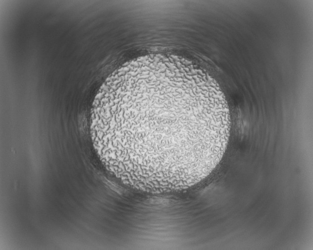 X0000052980523200508051044