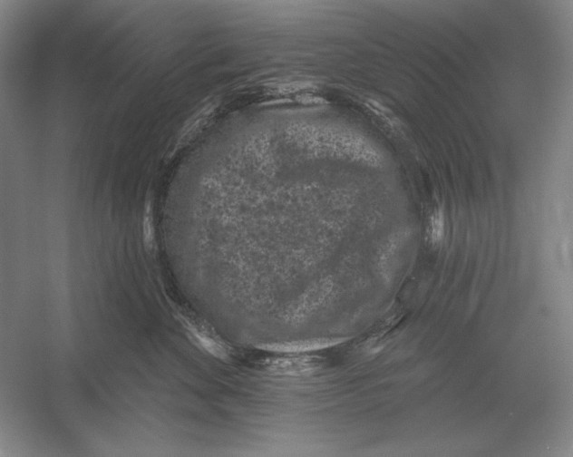 X0000052980524200508051044