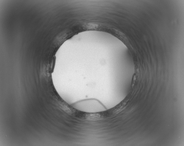 X0000052980525200508051044