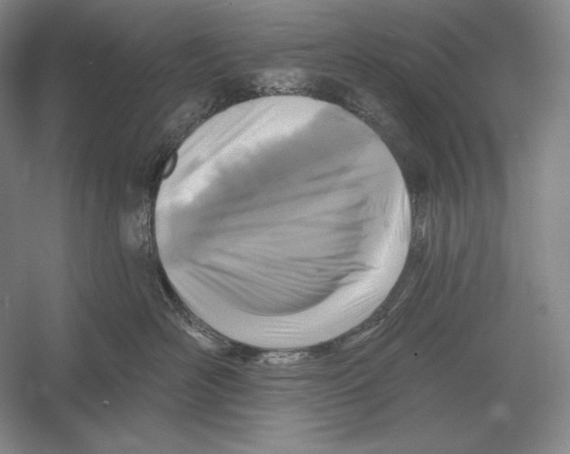 X0000052980526200508051044