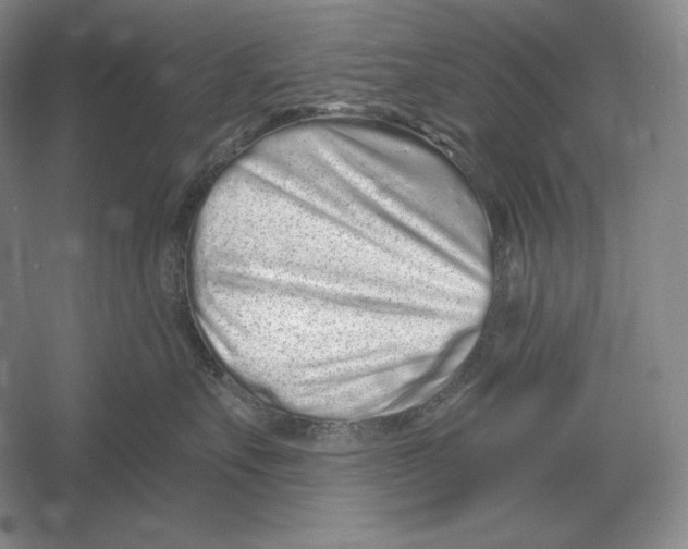 X0000052980527200508051044