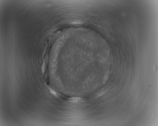 X0000052980528200508051044