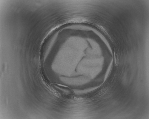 X0000052980531200508051043