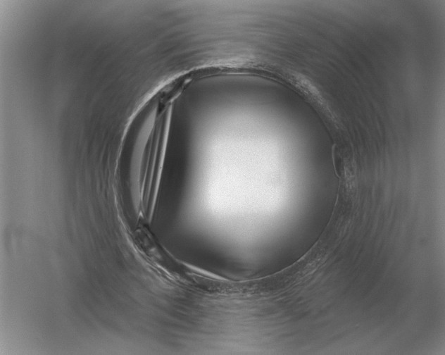 X0000052980532200508051043