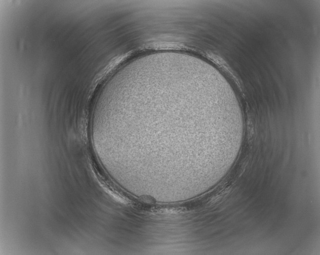 X0000052980533200508051043