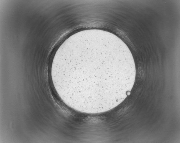 X0000052980534200508051043