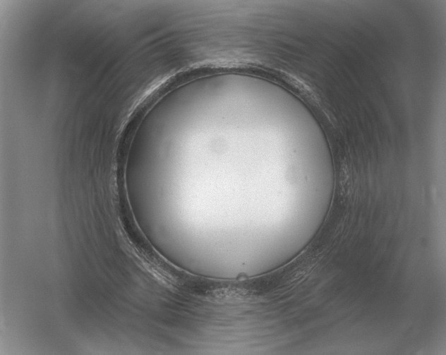 X0000052980535200508051043