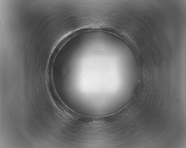 X0000052980536200508051043