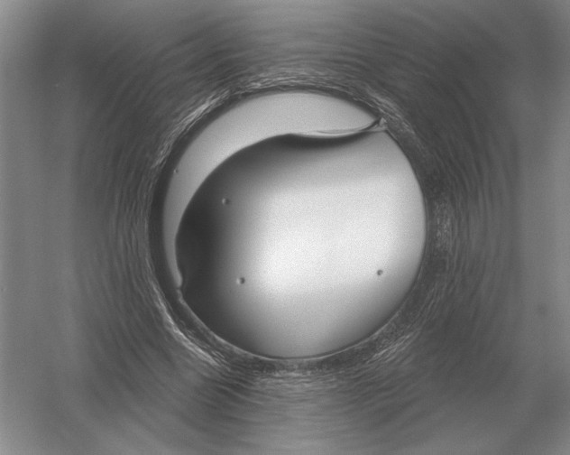 X0000052980538200508051043