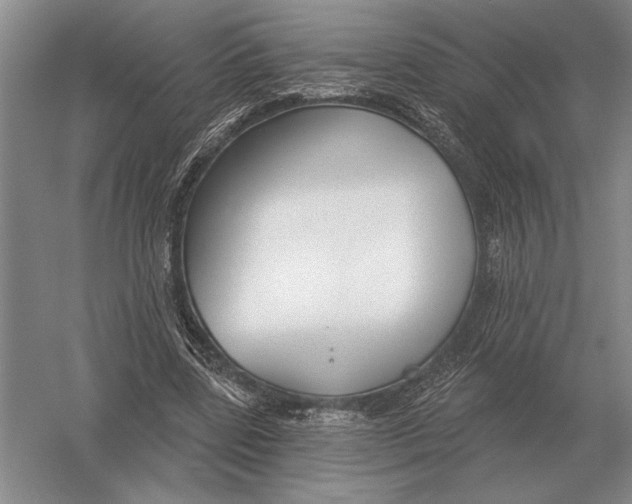 X0000052980539200508051043