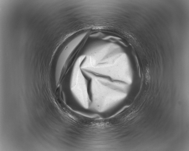 X0000052980540200508051043