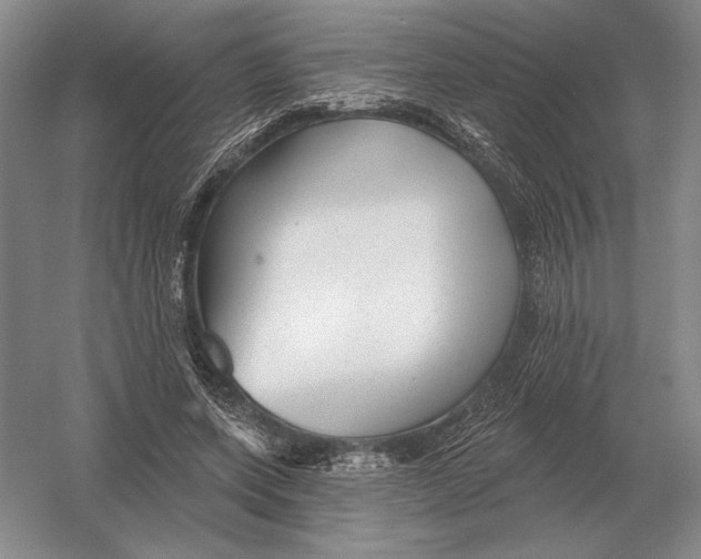 X0000052980543200508051043