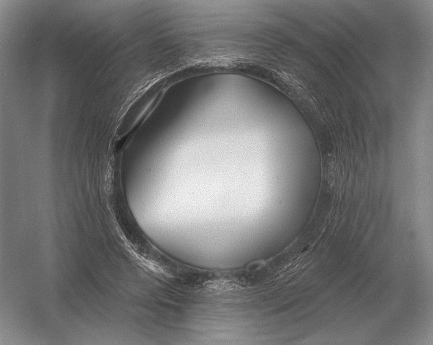 X0000052980544200508051043