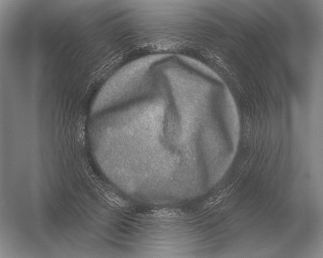 X0000052980545200508051043