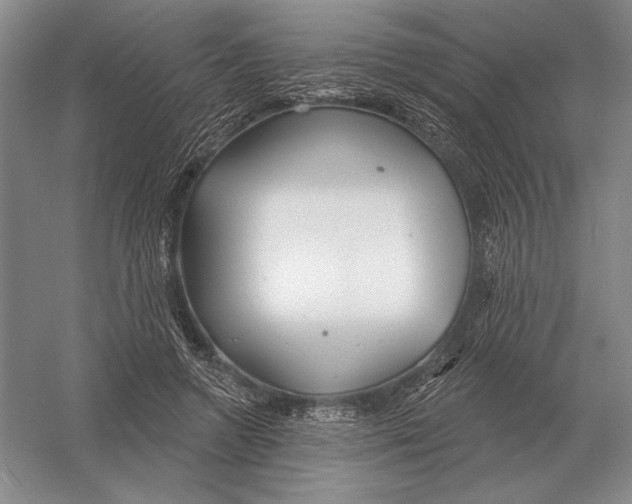 X0000052980546200508051043