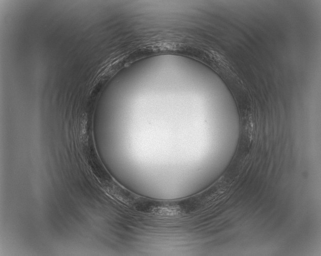 X0000052980548200508051043