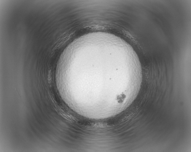 X0000052980549200508051043