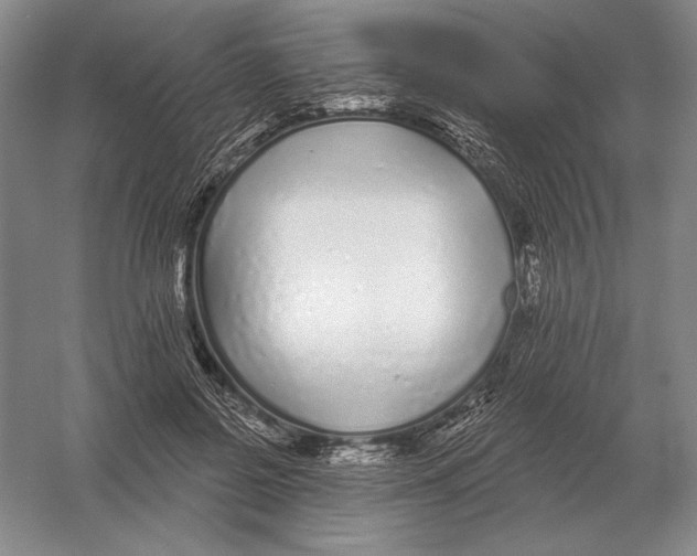 X0000052980550200508051044