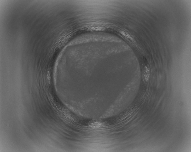 X0000052980551200508051044