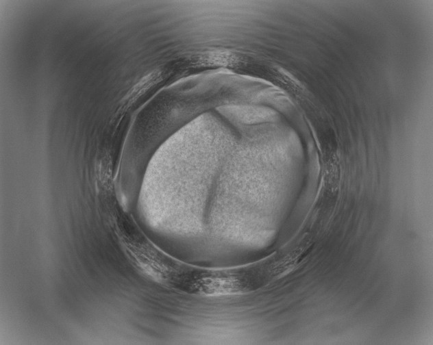 X0000052980552200508051044