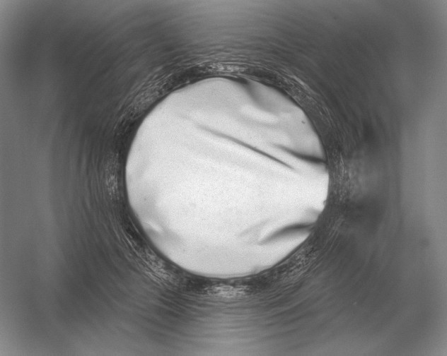 X0000052980553200508051044