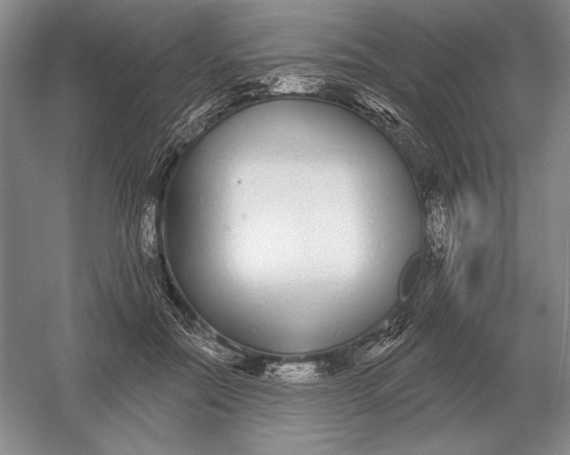 X0000052980554200508051044