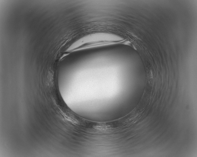 X0000052980556200508051044