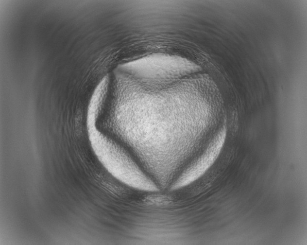 X0000052980557200508051044