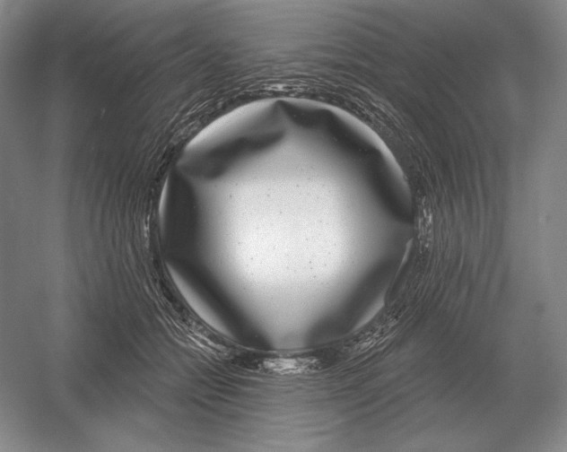 X0000052980558200508051044