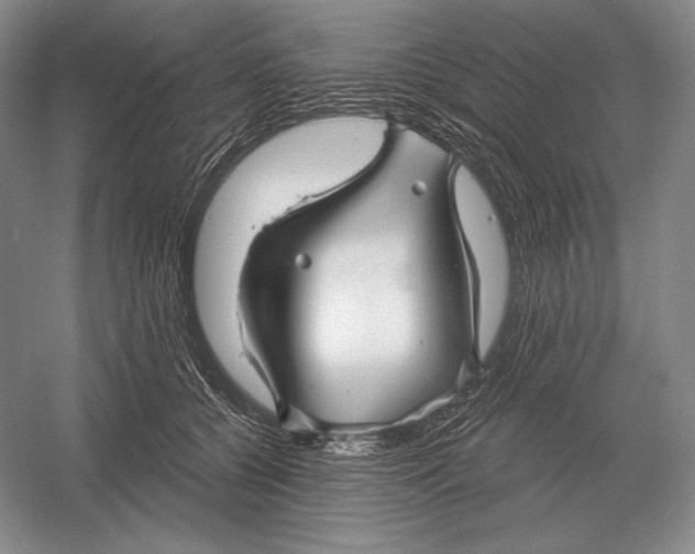 X0000052980560200508051044