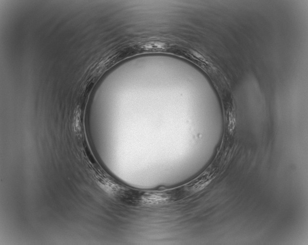 X0000052980561200508051044