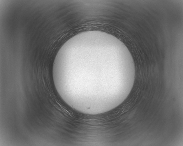 X0000052980562200508051044