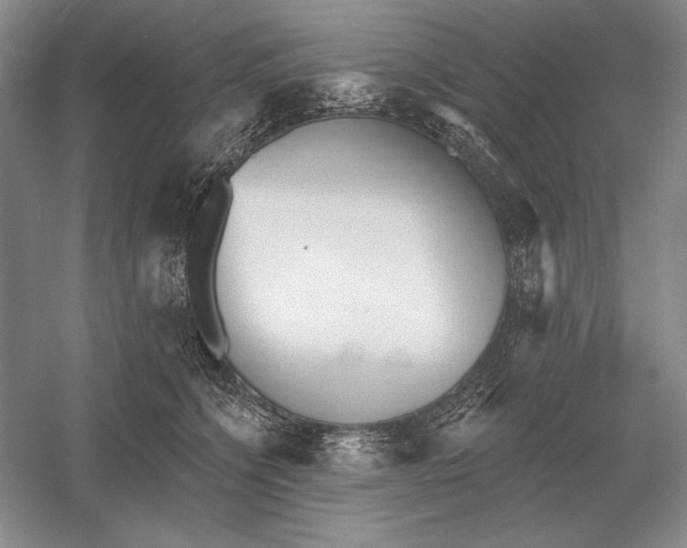 X0000052980564200508051044