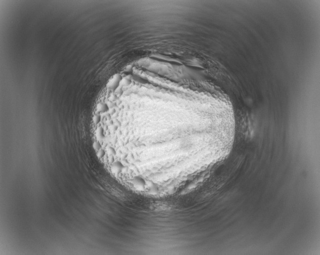 X0000052980565200508051044