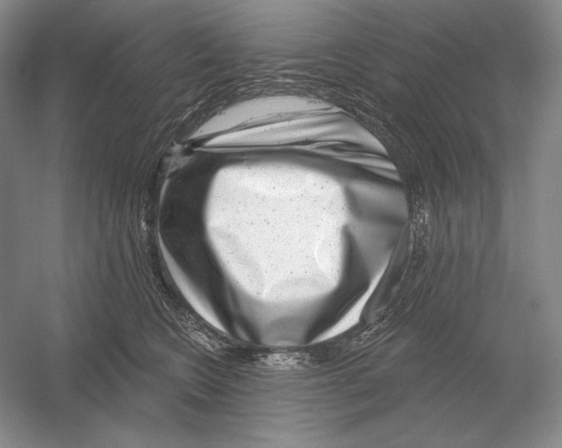 X0000052980566200508051044