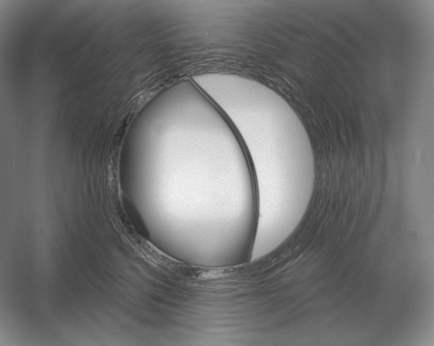 X0000052980568200508051044